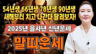 2025년 미리보는 을사년 말띠운세2025년 금전,귀인,문서운 한번에 다 들어온다! 말띠분들 인생이 바뀝니다! 54년생 66년생 78년생 90년생 말띠 운세