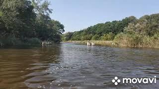 Река Самара 29.08.2021г.