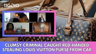 Clumsy Criminal Caught RED-HANDED Stealing Louis Vuitton Purse from Car