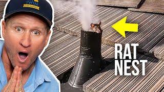 The SMOKE that gets RID of RATS...Fast