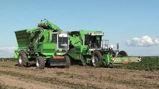 Loonw. Vermeulen-Vandoorne - Oostnieuwkerke - Zelfrijdende hooglosser - AVR Puma