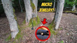 When Boars Leave Finds Behind… Metal Detecting with Micro Jewelry in the Woods!