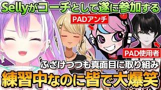 【切り抜き／常闇トワ】PAD嫌いのSellyがコーチとして参加して、一段と賑やかさを増すトワ様チームのV最カスタム練習まとめ【ホロライブ／ぶいすぽ.／神成きゅぴ／Selly／或世イヌ／APEX】