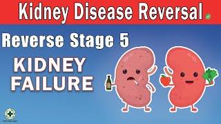 Kidney Disease Reversal: Reverse Stage 5 KIDNEY FAILURE