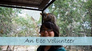 Volunteer with monkeys  - Eco Volunteer Helen