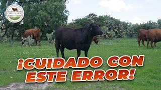 NO COMETAS ESTE ERROR EN TU RANCHO | Rancho Cinco Talentos | Zacatecas | Ganadería