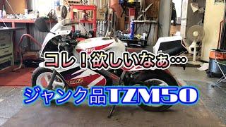 ＴＺＭ50 不動車復活！