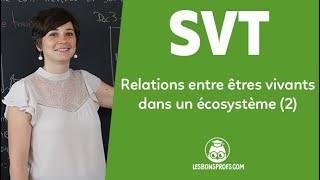 Relations entre êtres vivants dans un écosystème (2) - SVT - Lycée - 1re - Les Bons Profs