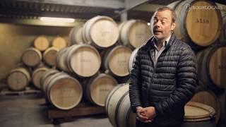 The legend of the Grand Cru white wines of Montrachet