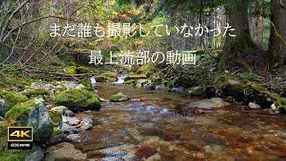 Kanzaki River - The murmuring of the upper reaches of the river that nobody has filmed yet