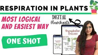 Best Biology Crash Course | Respiration in Plants  | Ishita Khurana