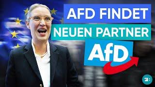 AfD tritt neuer rechtsextremer EU-Fraktion bei: ESN-Bündnis gegründet