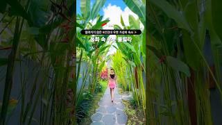 동화 속 발리 우붓 풀빌라‍️ #발리 #발리여행 #우붓 #발리숙소 #bali #세계여행 #해외여행