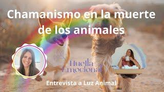 Entrevista Laura Vidal-Huella Emocional a Luz Animal- Chamanismo en la muerte de los animales