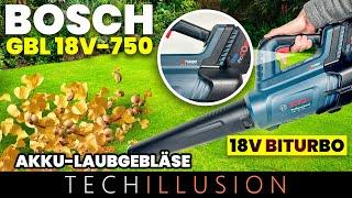 bosch GBL 18V-750 - DMR200 - Review & Test