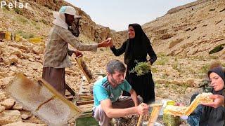 Back to the Past: Atabek and Shaheen's Long Journey to Harvest Honey Bees