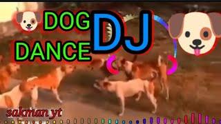 DOG DJ DANCE || dog song || #Rdx_music_company#dj_dog_song ||                   DJ sobg