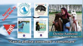 Speciale TWT - "Cani in piscina, conoscersi e comunicare"