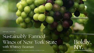 Sustainably Farmed Wines of New York [Virtual Seminar]