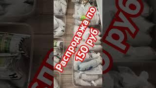 Распродажа по 150 руб‼️ Детки  Бегонии
