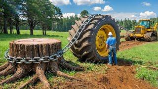 Dangerous Fastest Stump Tree Removal Machines, Incredible Monster Wood Processing Machines Working