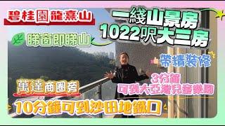 睇窗即睇山景【碧桂園龍熹山】帶精裝修 | 萬達商圈旁 | 10分鐘可到沙田地鐵口 | 3分鐘可到大亞灣兒童樂園#惠州 #筍盤 #房地產 #惠州樓盤 #地產 #山景