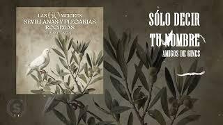 Especial Historia Las 60 Mejores Sevillanas y Plegarias Rocieras (Audio Álbum Oficial)