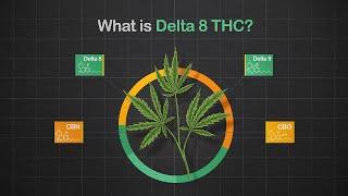 What is Delta 8 THC?