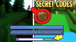SECRET CODES and UPDATE!! | Build a Boat for Treasure ROBLOX