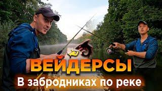 Впервые надел вейдерсы для рыбалки и вышел на реку. Тестируем забродный полукомбинезон FrontMan.