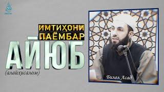 Имтиҳони Паёмбар Айюб | Билол Асад | Ҳикмат ТВ