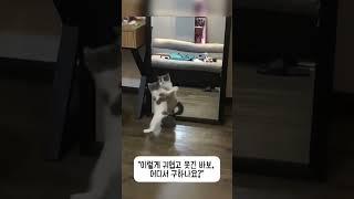 귀여운 건 정말 참기 힘들엌ㅋㅋㅋ