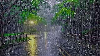 Reduce Stress and Sleep Immediately with HEAVY RAIN, Light Wind on the Road at Midnight