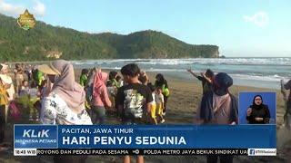 Hari Penyu Sedunia