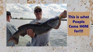 A LOT of BIG Catfish Were Caught This Trip!