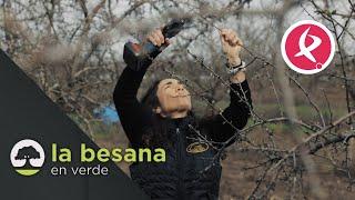 Agricultora de tradición familiar | La Besana en Verde