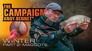 Winter Maggot Fishing With Andy Bennett