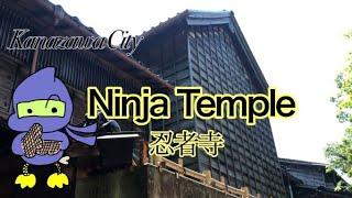 Sightseeing Kanazawa City(Day2 [Myouryuji Temple-Ninjya Temple妙立寺]/[Kanazawa Castle金沢城])