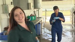 Dairy Industry Careers - Part 2