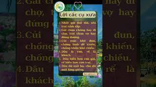 SỨC KHỎE NGÀN VÀNG | SỐNG KHỎE ĐẸP #SứcKhỏeNgànVàng  #SốngKhỏeĐẹp #suckhoe