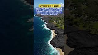 김연자의 '아모르 파티'는 인생의 굴곡을 긍정하자는 메시지를 담은 트로트 EDM 곡으로, ‘운명을 사랑하라’는 뜻의 라틴어 제목처럼 희로애락을 품은 인생 찬가입니다.