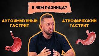 Чем отличается атрофический и аутоиммунный гастриты?