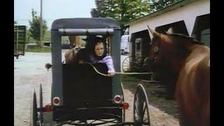 Disney's "Brimstone, The Amish Horse" Season 15 Ep 5