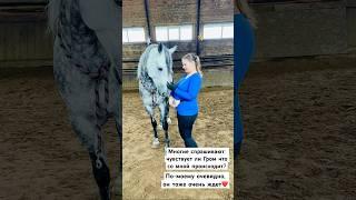 Они чувствуют больше чем люди️ #youtubeshorts #horse #лошади #рекомендации #кони #беременность