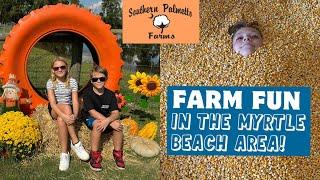 FALL FARM FUN in the Myrtle Beach Area at Southern Palmetto Farms!