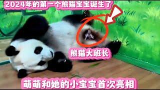 2024年的第一个熊猫宝宝，萌萌和她的小宝宝首次亮相了！