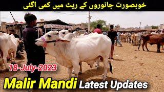 Malir Mandi Latest Updates 18-July-2024 | Khubsurat Janwaro Key Rate Me Kami Agai | @Shah_Times