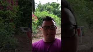 flavio Xavier tv
