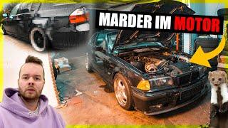 MARDER Attacke auf den TURBO Bmw!  KLEINER Fehler große WIRKUNG | Bilder vom UNFALL  335