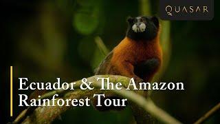 Ecuador & The Amazon Rainforest Tour (Series 4 of 5)